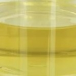 Líquido CAS 19321-40-5 do oleato PETO de Pentaerythrityl do estabilizador do modificador do lubrificante do óleo